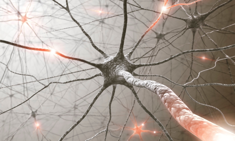 infezioni-urinarie-malattie-neurodegenerative
