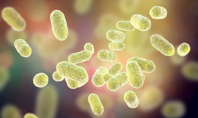 vescica neurologica infezioni urinarie microbiota probiotici